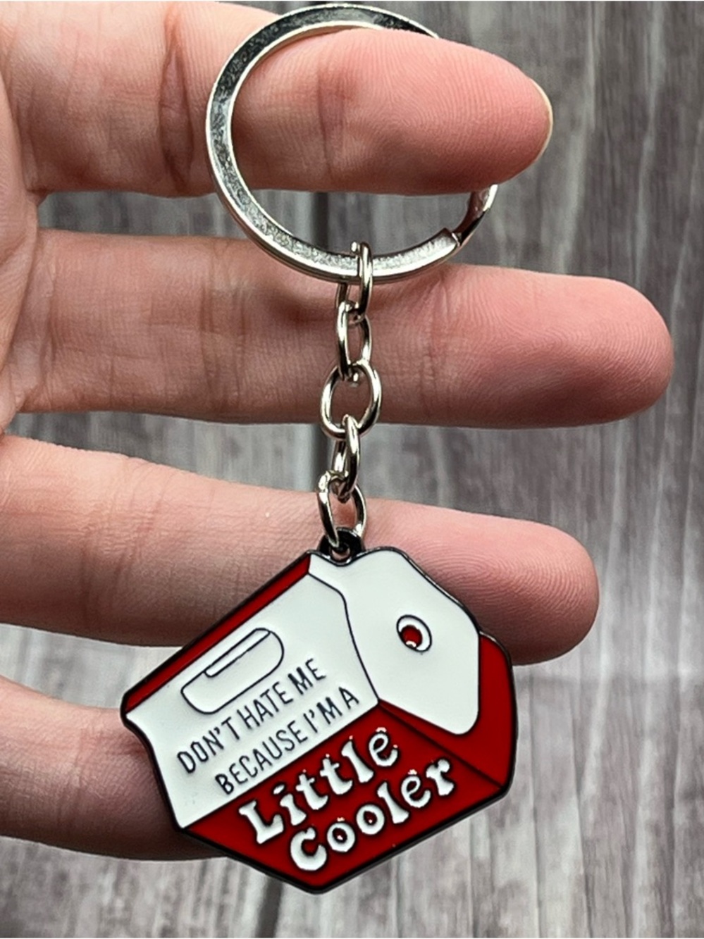 NEW “Don’t Hate Me Because I’m a Little Cooler” Keychain Cute Funny Pun
